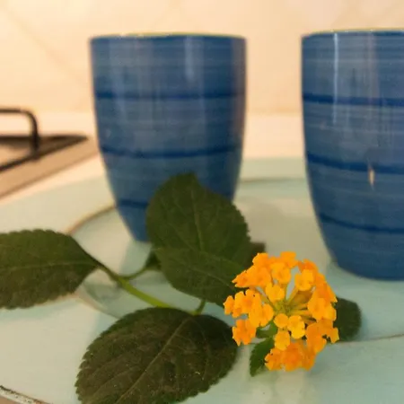 Appartement Pavoncelle - A Con Giardino Privato A Pochi Passi Dal Mare